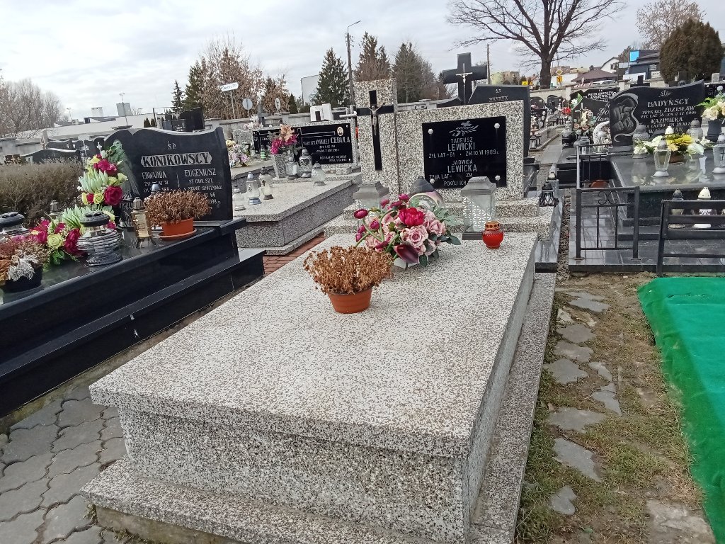 Grób Tadeusz Lewicki